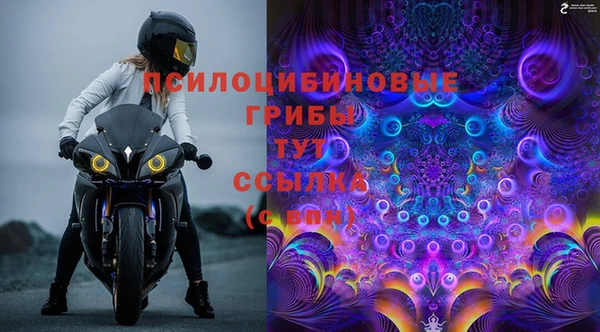 гидропоника Арсеньев
