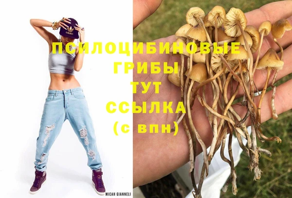 каннабис Баксан