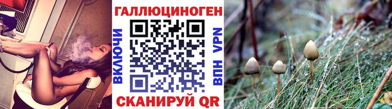 Галлюциногенные грибы ЛСД  Сегежа 